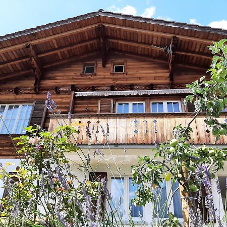 Cozy Chalet By Interlaken. Parking Ringgenberg Luaran gambar