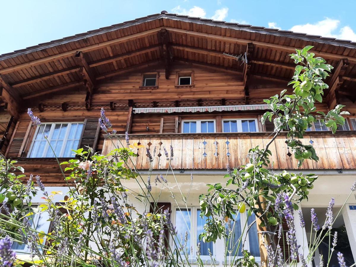 Cozy Chalet By Interlaken. Parking Ringgenberg Luaran gambar